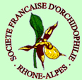 Soci&eacute;t&eacute; 
          Fran&ccedil;aise d'Orchidophilie Section Rh&ocirc;ne-Alpes