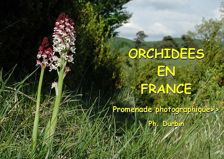 Cliquer pour entrer