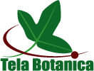 Tela Botanica