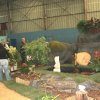 ORCHIDEES DU FENOUILLEDES