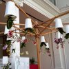ORCHIDEES DU FENOUILLEDES