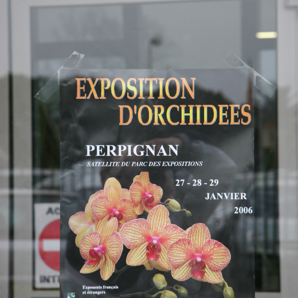Perpignan_2006