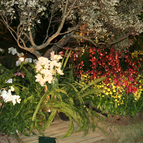 Perpignan_2006