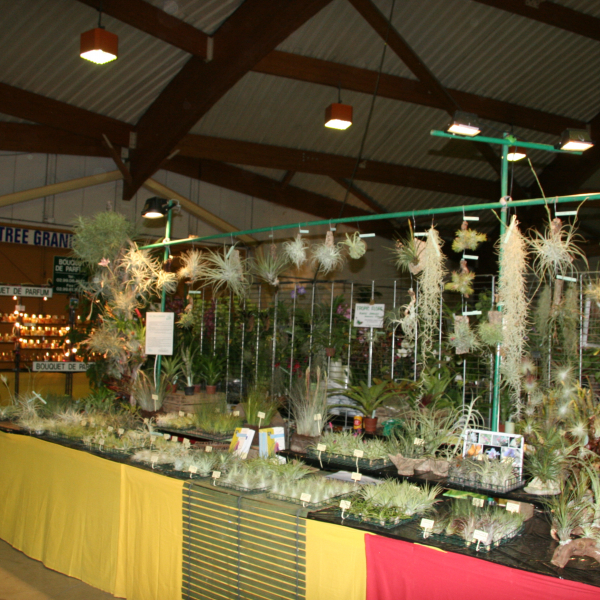 Perpignan_2006