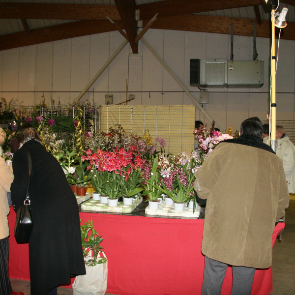 Perpignan_2006