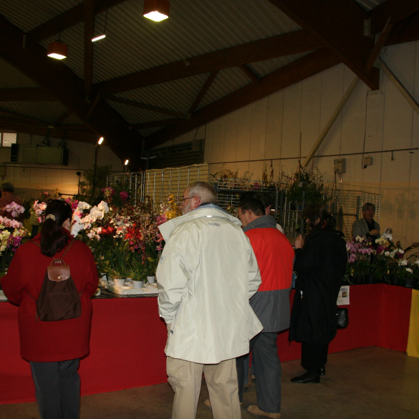Perpignan_2006