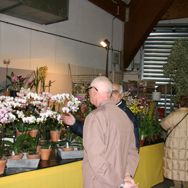 Perpignan_2006