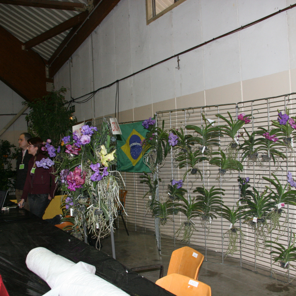 Perpignan_2006