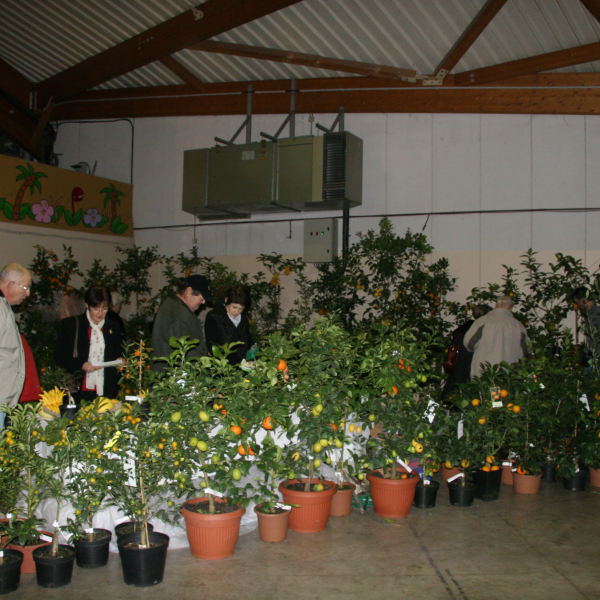 Perpignan_2006