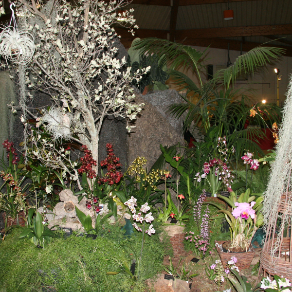 Perpignan_2006