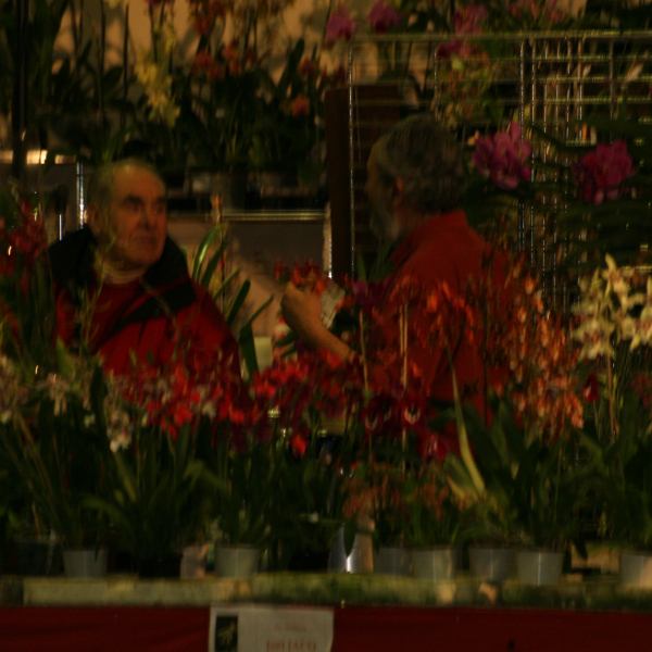Perpignan_2006