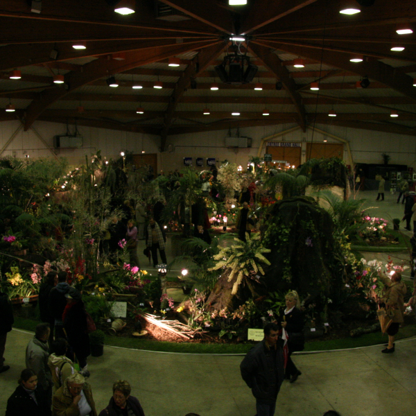Perpignan_2006