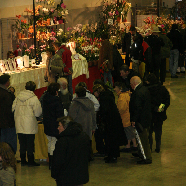 Perpignan_2006