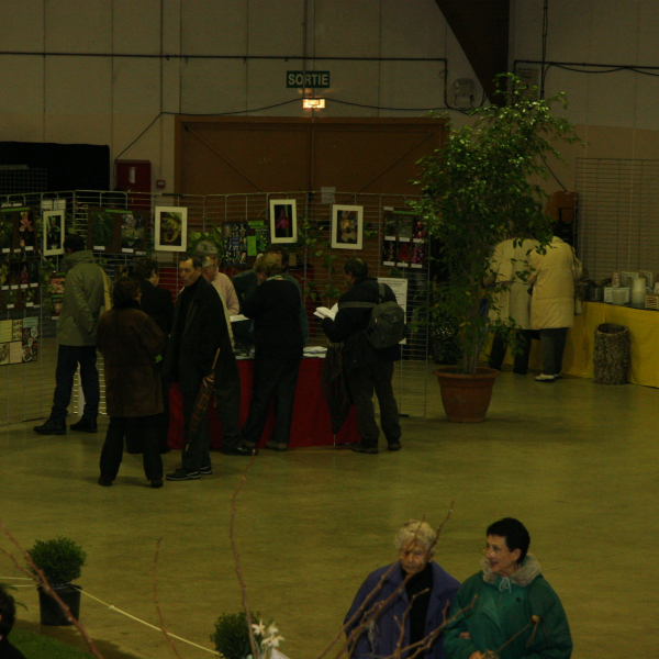 Perpignan_2006