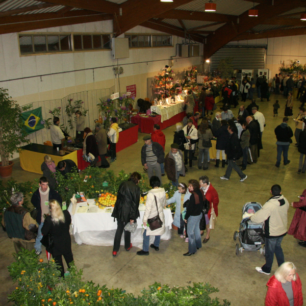 Perpignan_2006