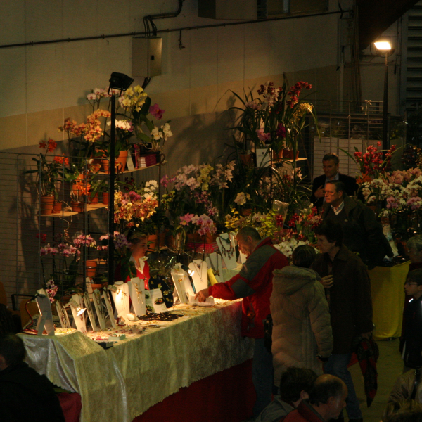 Perpignan_2006