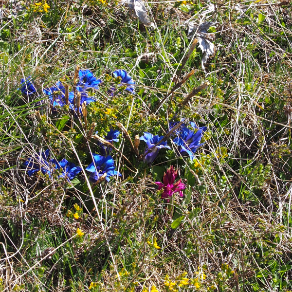 P5110154